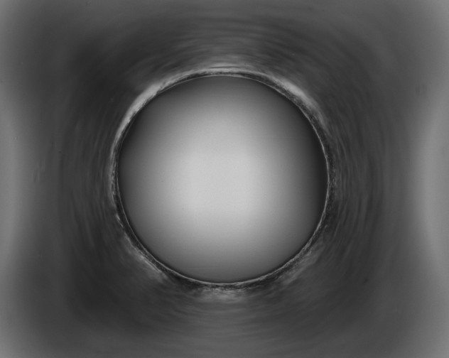 X0000086301374200704131600