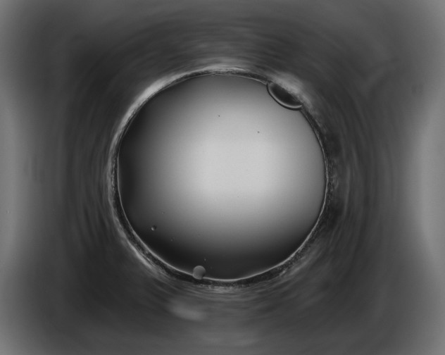 X0000086301375200704131600