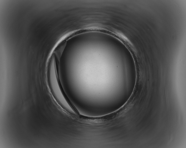 X0000086301376200704131600