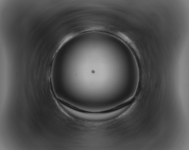 X0000086301377200704131600