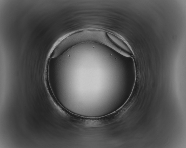 X0000086301379200704131600