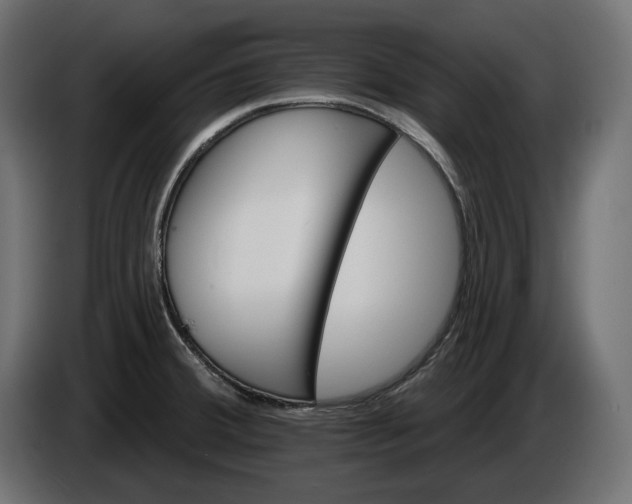 X0000086301380200704131600