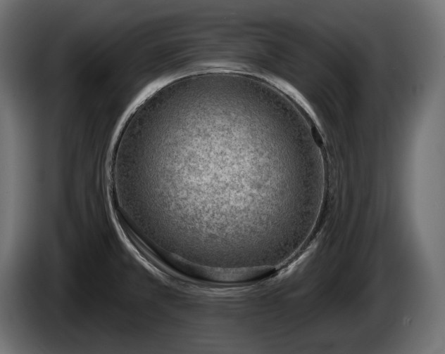 X0000086301381200704131600