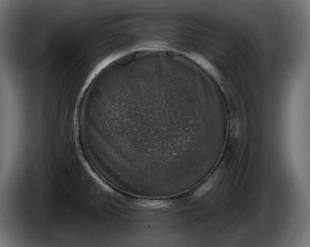 X0000086301382200704131600