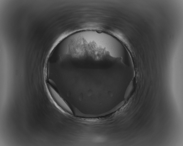 X0000086301383200704131600