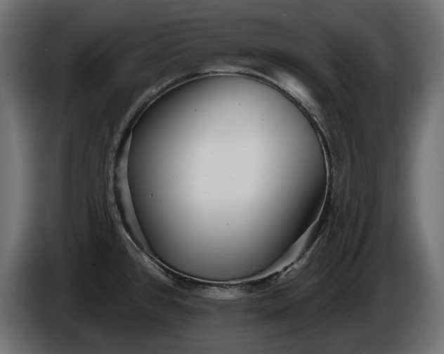 X0000086301384200704131600