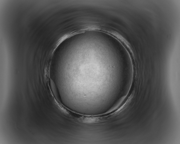 X0000086301385200704131600