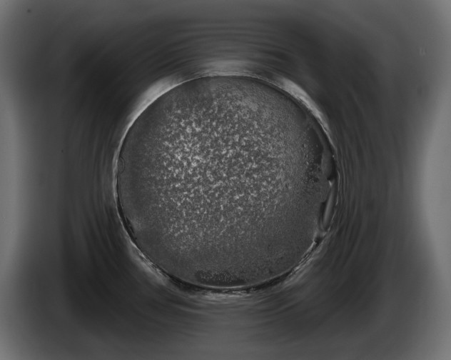 X0000086301386200704131600