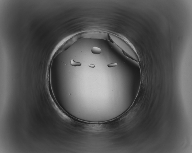 X0000086301387200704131600