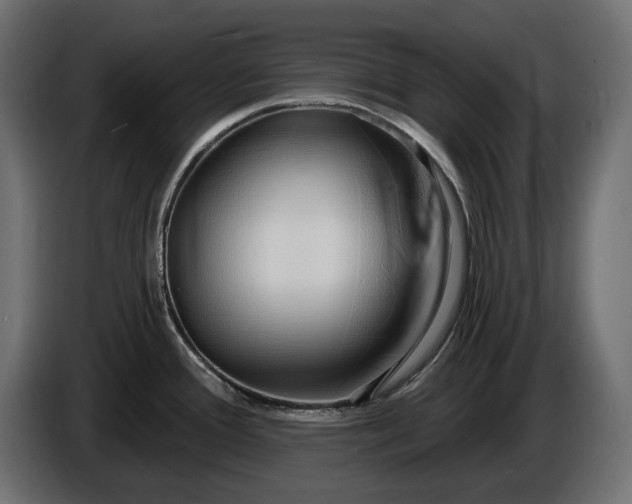 X0000086301388200704131600