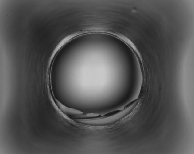 X0000086301389200704131600