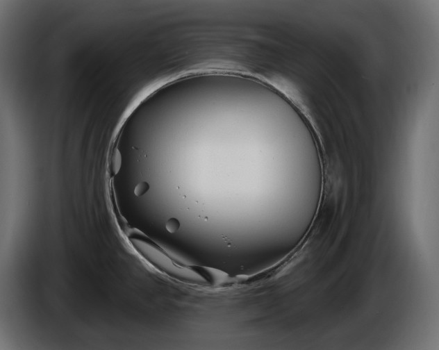 X0000086301390200704131600