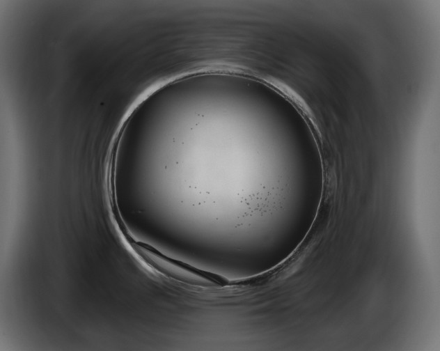 X0000086301391200704131600