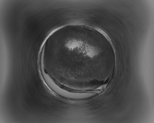 X0000086301392200704131600