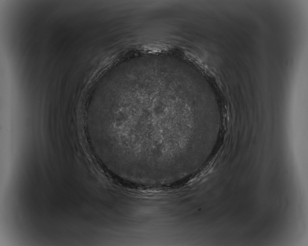 X0000086301393200704131559