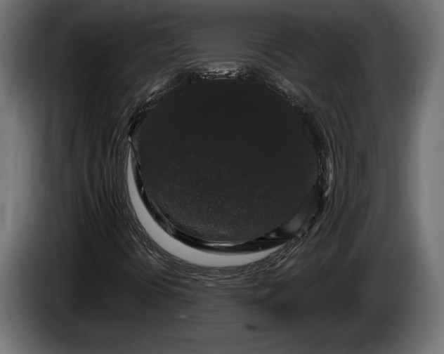 X0000086301394200704131559