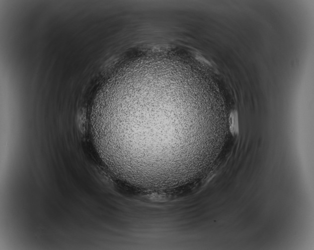 X0000086301395200704131559