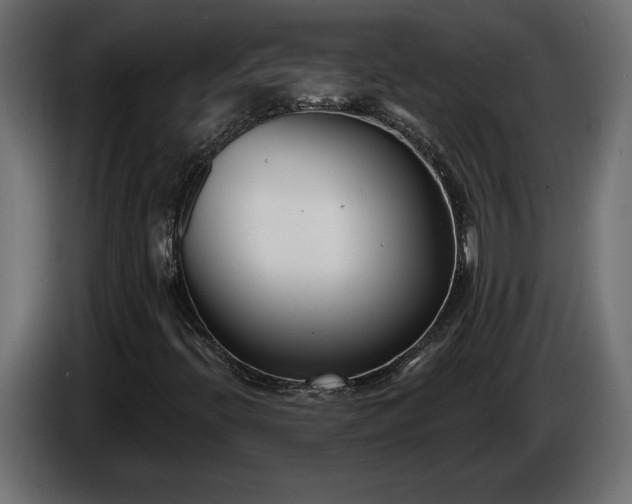 X0000086301396200704131559