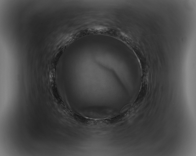 X0000086301397200704131559