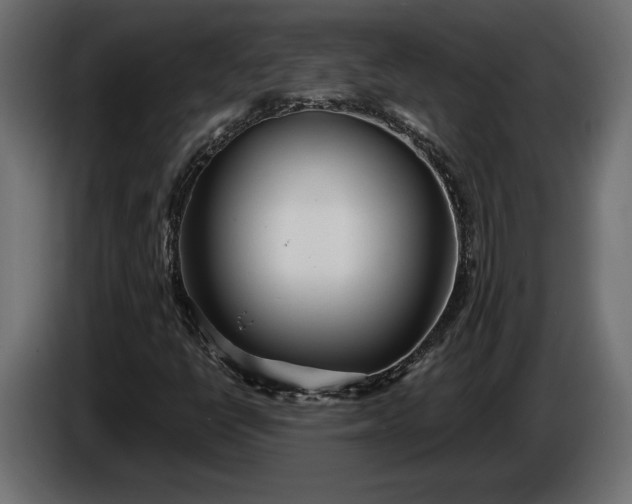 X0000086301398200704131559