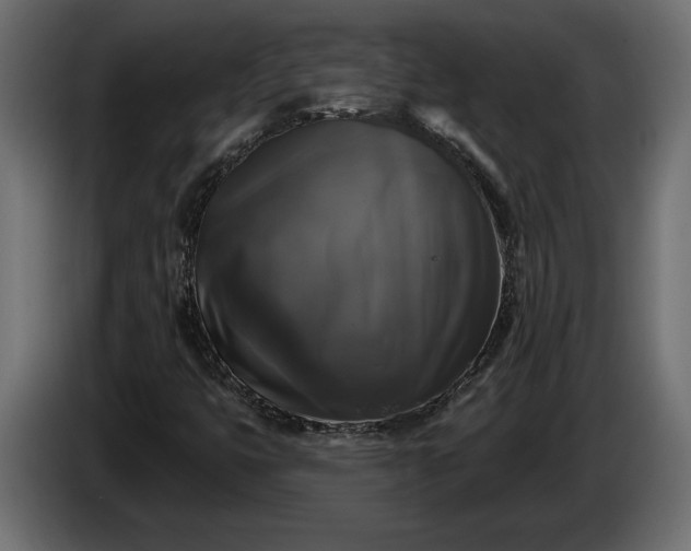 X0000086301399200704131559