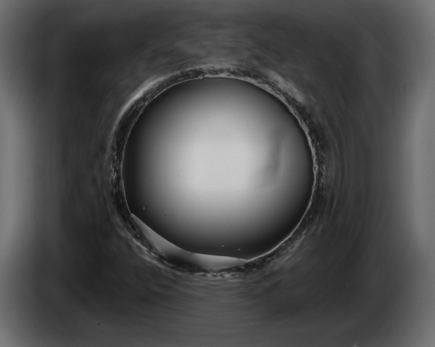 X0000086301400200704131559