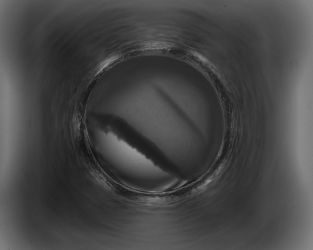 X0000086301401200704131559