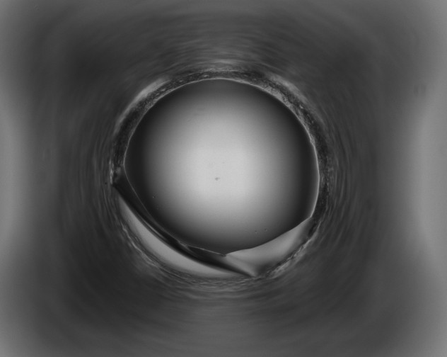 X0000086301402200704131559