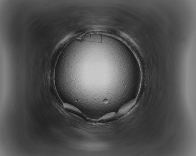 X0000086301403200704131559