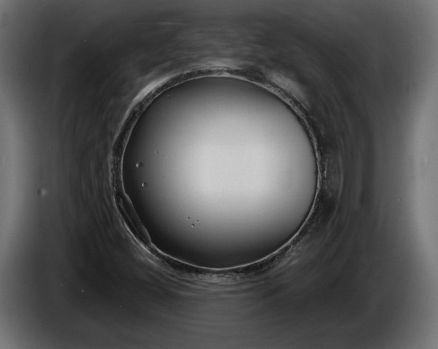 X0000086301404200704131559