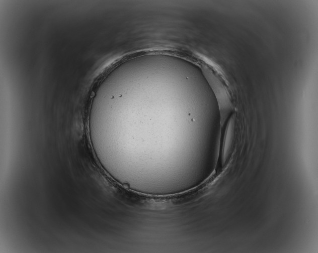 X0000086301407200704131559