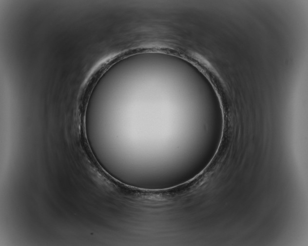 X0000086301408200704131559