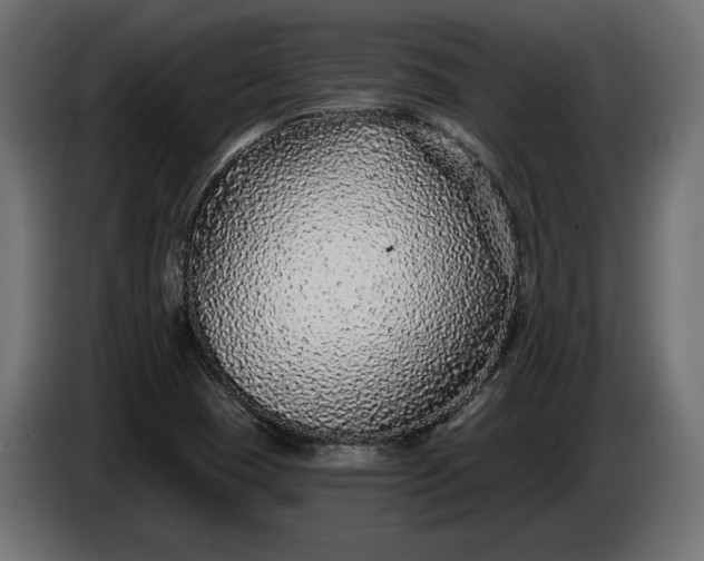 X0000086301409200704131559