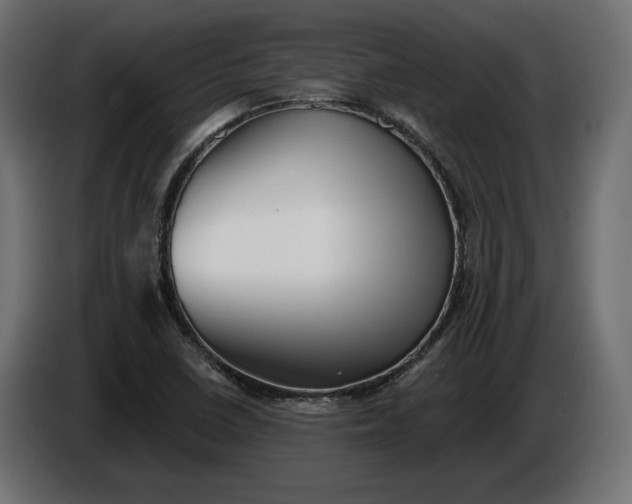 X0000086301410200704131559