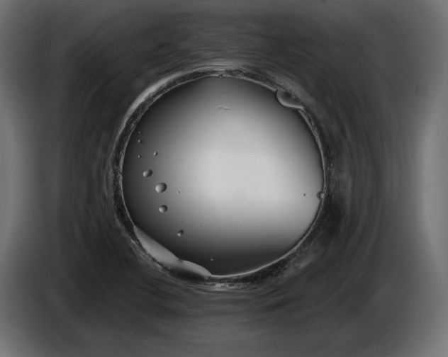 X0000086301412200704131559