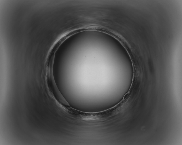 X0000086301414200704131559