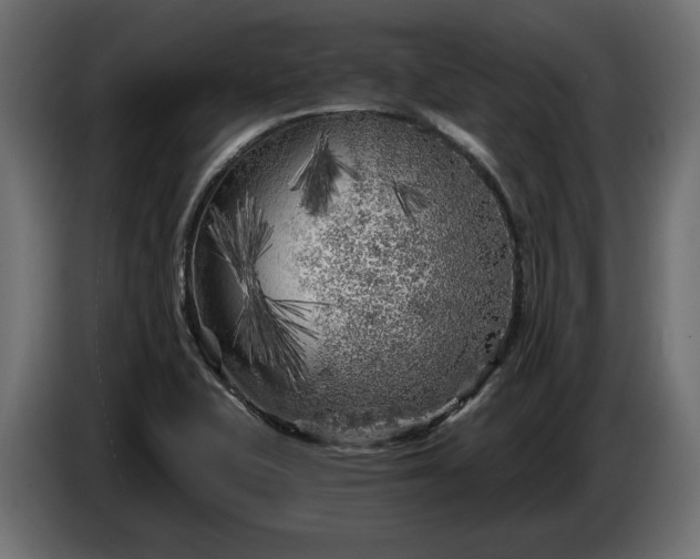 X0000086301415200704131559