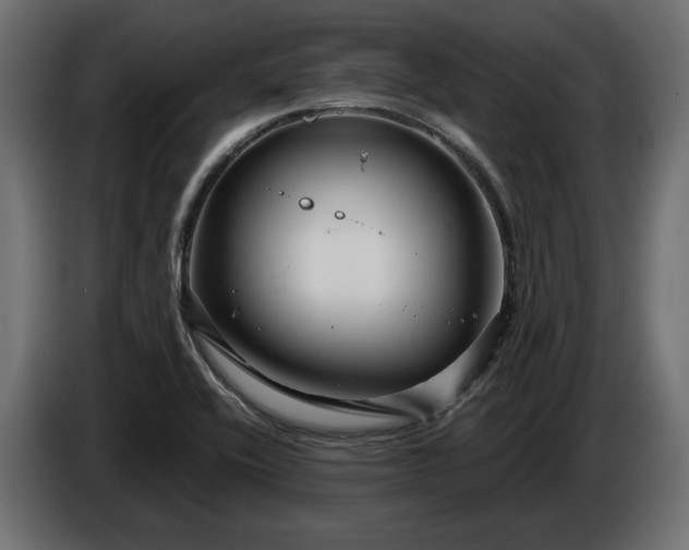 X0000086301416200704131559