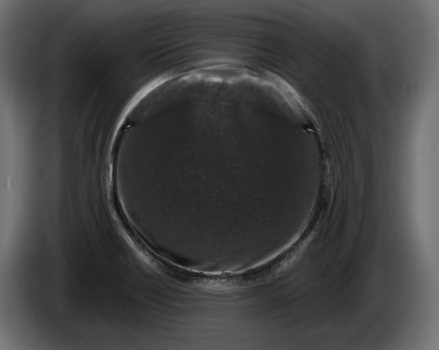 X0000086301418200704131600