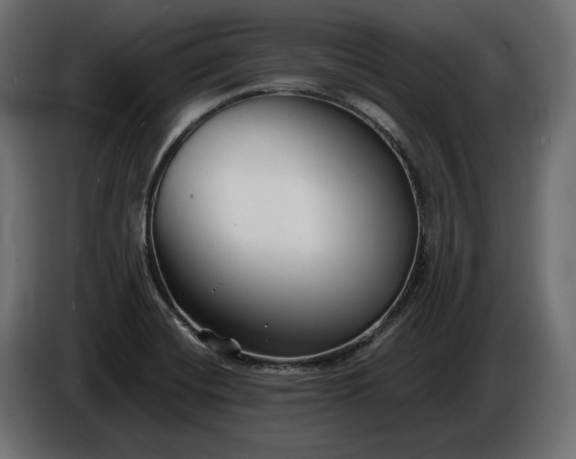 X0000086301420200704131600