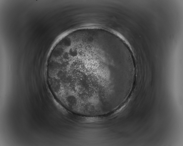 X0000086301421200704131600