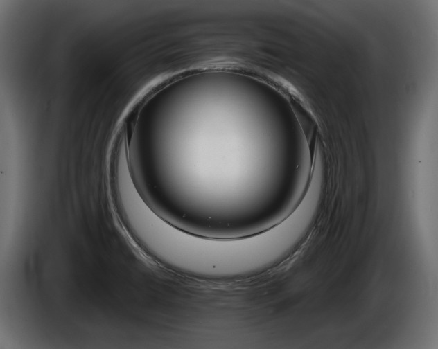 X0000086301422200704131600