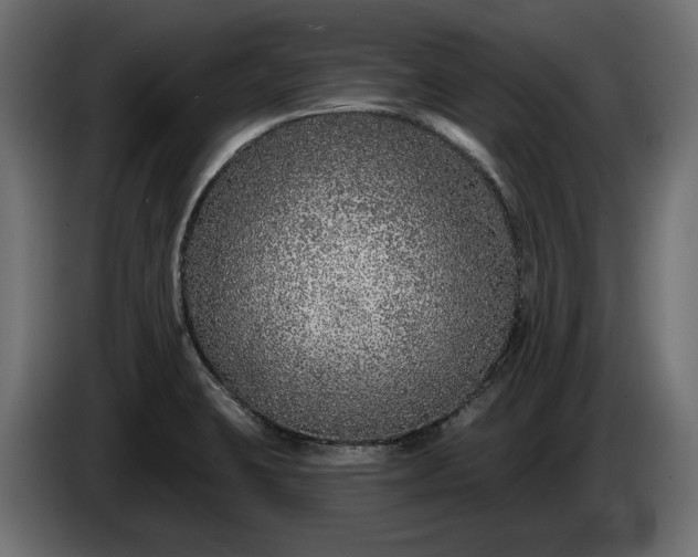 X0000086301423200704131600