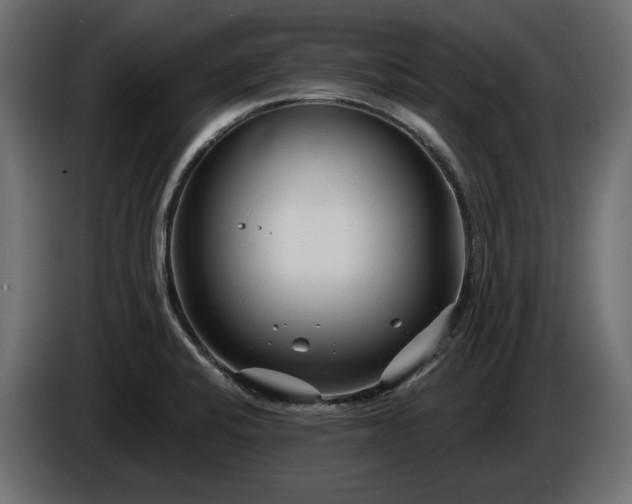 X0000086301424200704131600