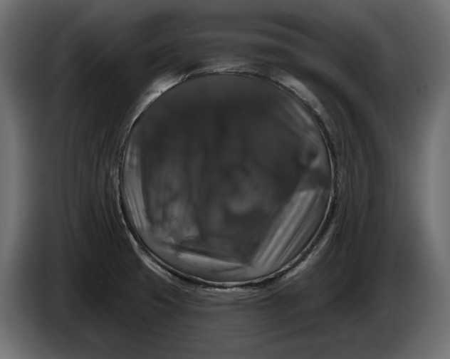 X0000086301425200704131600