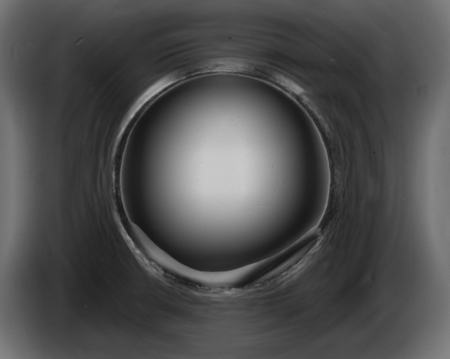 X0000086301426200704131600