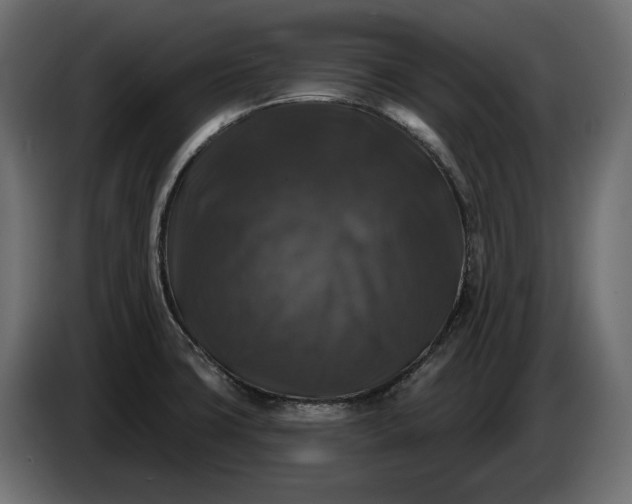 X0000086301427200704131600