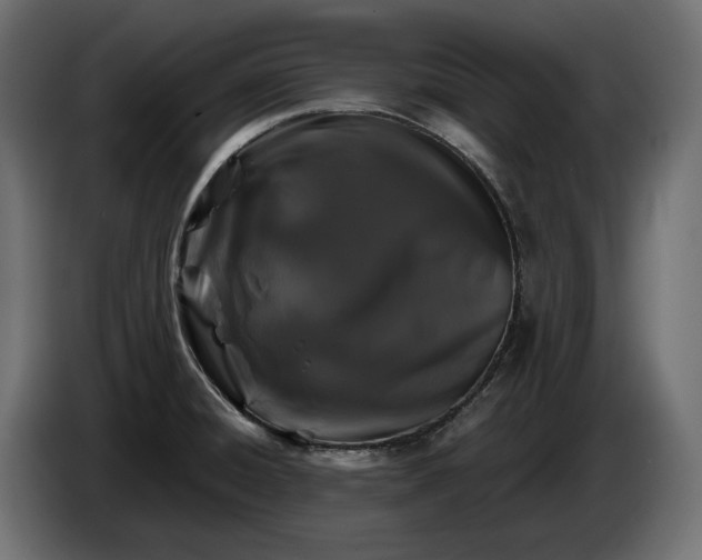 X0000086301428200704131600