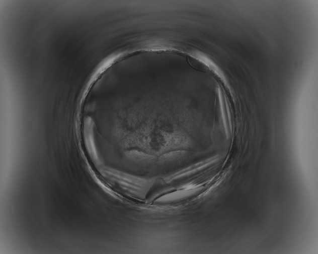 X0000086301429200704131600