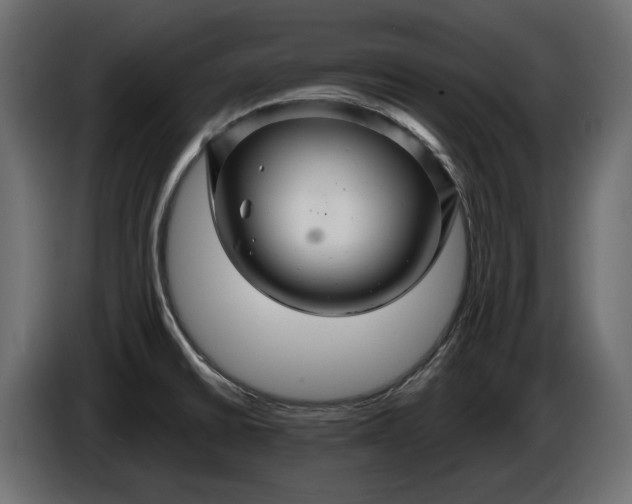 X0000086301430200704131600